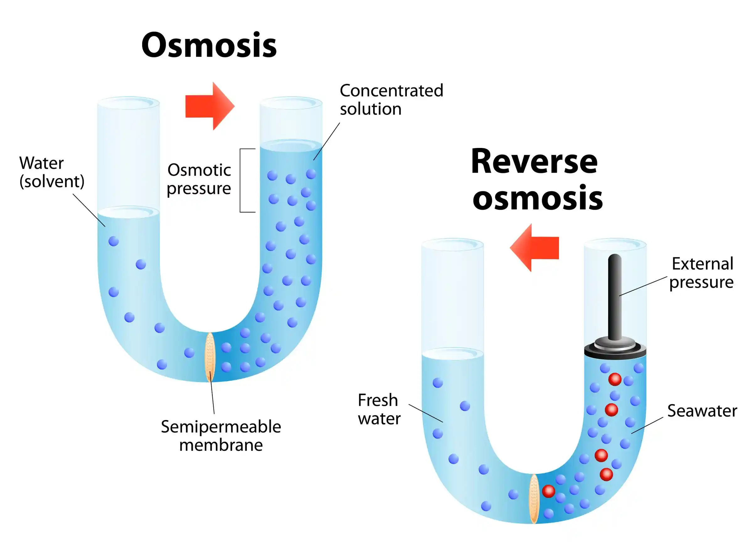 MPS-reverse-osmosis