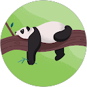 askdj profile picture